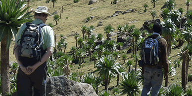 Trekking in Ethiopia